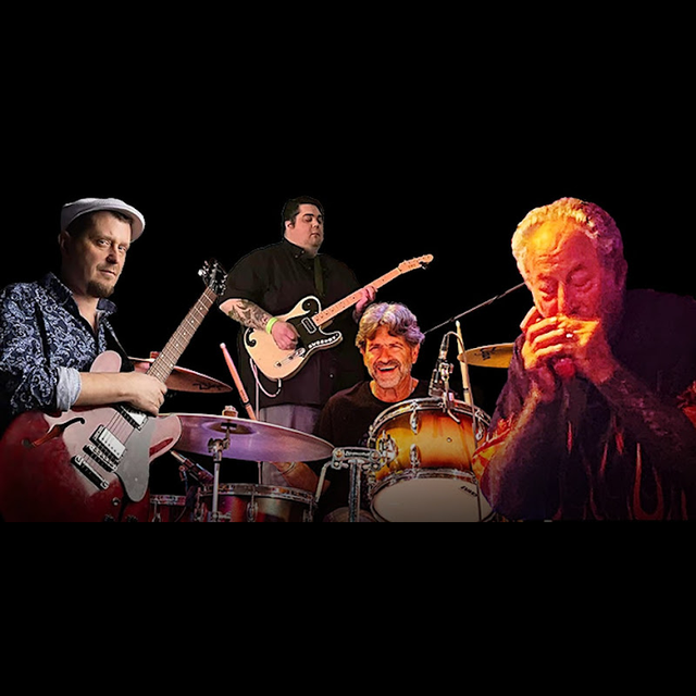 THE NIGHTHAWKS BLUES BAND RETURN<br>730PM<br>$25